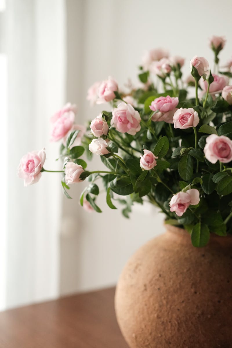 Roses Tendres